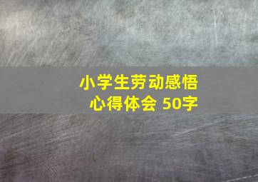 小学生劳动感悟心得体会 50字